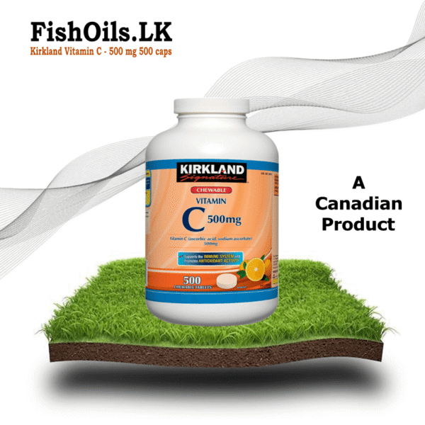Kirkland Vitamin C 500mg - 500 Caps