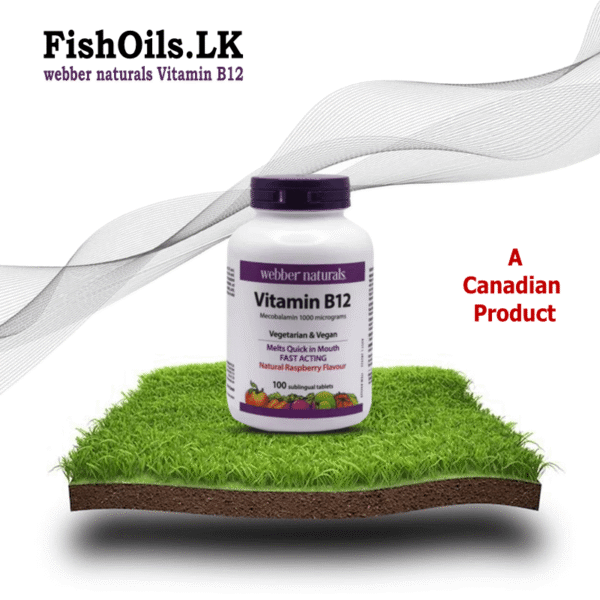Webber Naturals Vitamin B12 1000 mcg - 100 Tablets