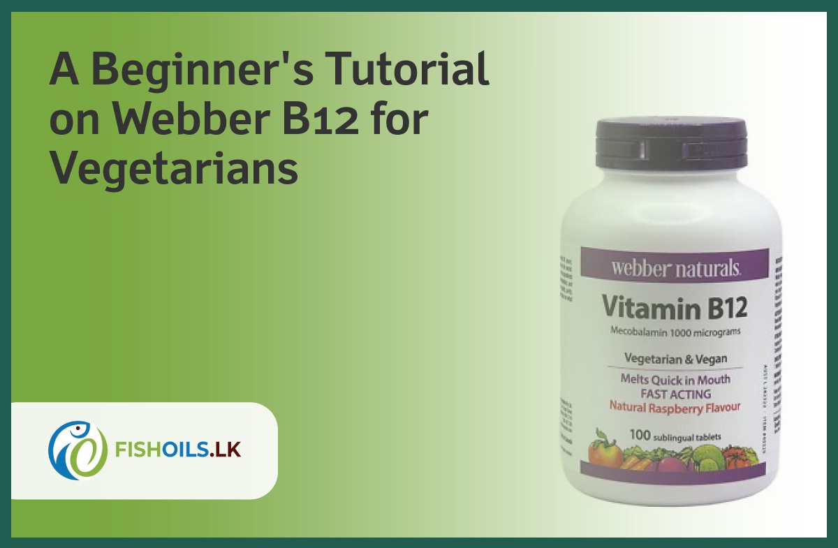 webber b12